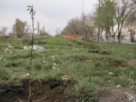 В Алматы изымут из частной собственности 8 участков в исторической части города