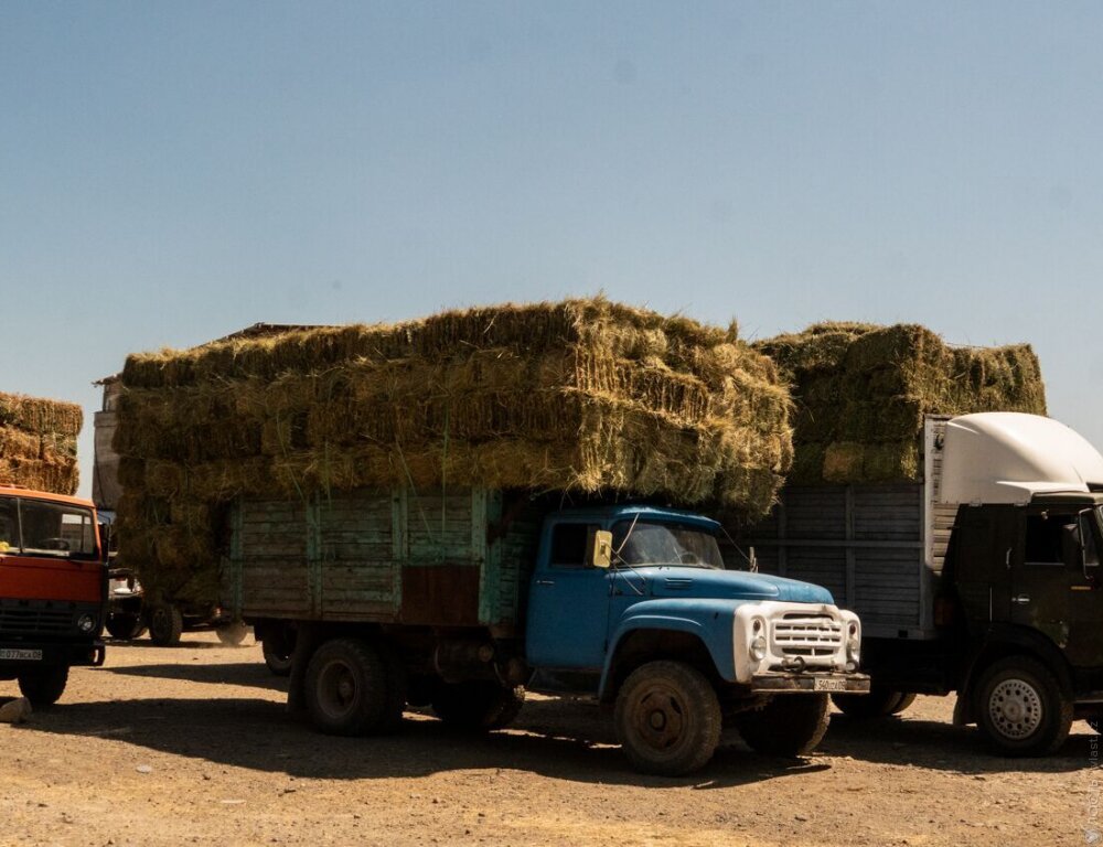 Фермерам Жамбылской области выделили более 3,6 млрд тенге из резерва правительства