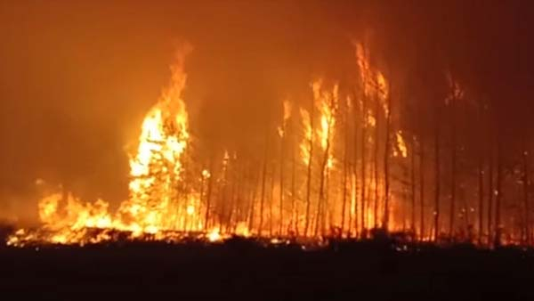 В Костанайской области растет площадь лесного пожара, огнем накрыт один поселок 