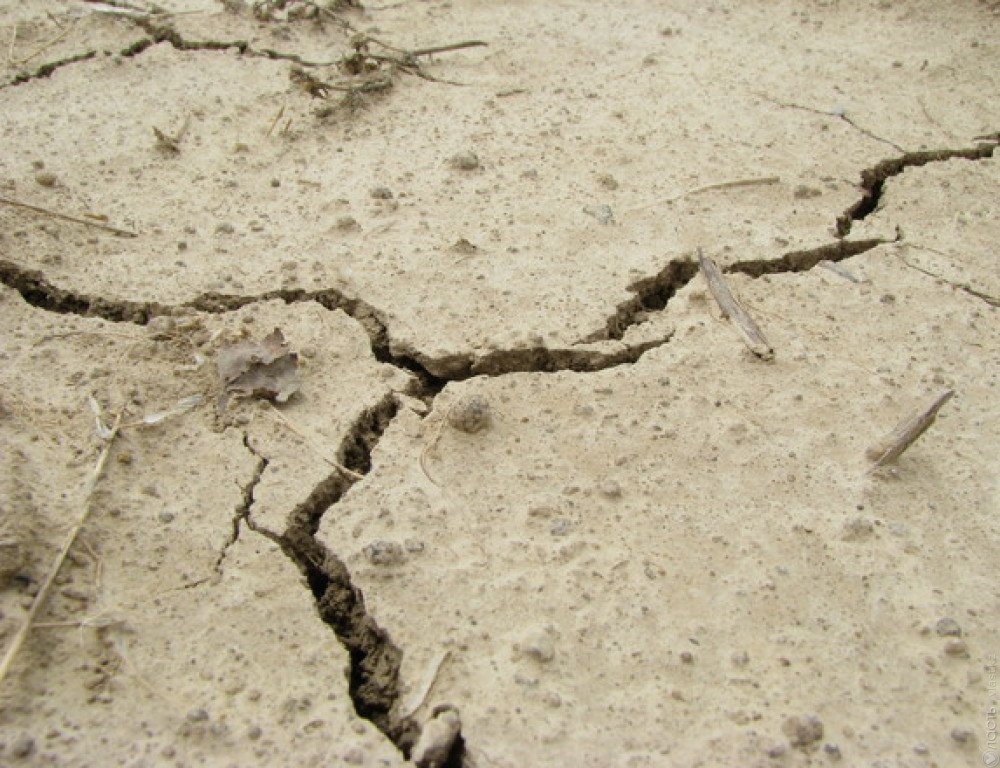 Жертвами землетрясения в СУАР стали восемь человек