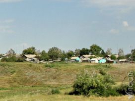 Полную инвентаризацию сельских населенных пунктов намерены провести в Казахстане