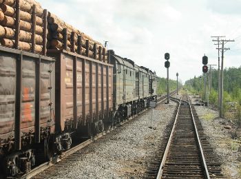 Сроки доставки грузов, ввозимых на территорию Таможенного союза по железной дороге, будут сокращены &mdash; МТК