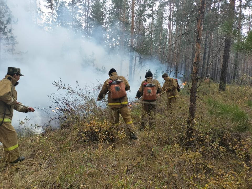 Работников лесных пожарных станций в Казахстане дооснастят спецодеждой 
