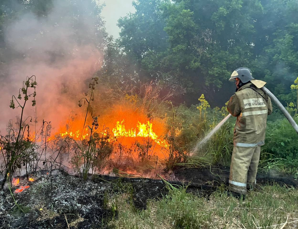 Площадь природного пожара в области Абай достигла 30 тыс. га
