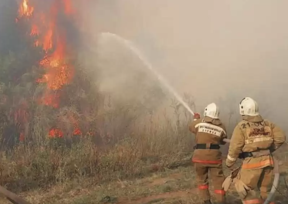 Природный пожар с территории России перешел на природный резерват «Семей орманы» 