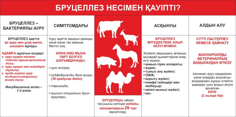 Сексудағы ауыл майлары